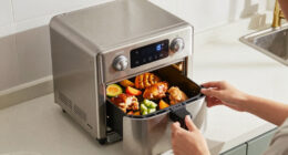 10 Best Stainless Steel Air Fryer Toaster Oven in 2026