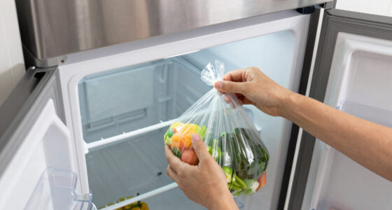 12 Best Upright Freezer Under $1000 in 2026