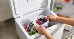 13 Best Chest Freezer for Families in 2026