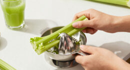 6 Best Self Feeding Juicer for Celery Juice in 2026