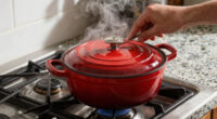 9 Best Best Enameled Dutch Oven in 2026