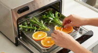 9 Best Dehydrator for Herbs and Citrus in 2026