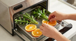 9 Best Dehydrator for Herbs and Citrus in 2026