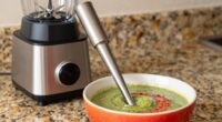 choosing the right blender