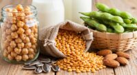 dairy free protein options