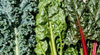 differences in leafy greens
