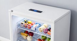 freezer features worth considering