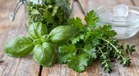 freezing herbs effectively explained