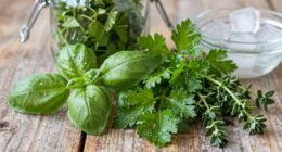 freezing herbs effectively explained
