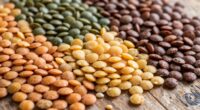 guide to lentil varieties