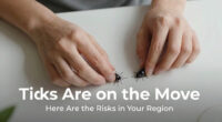 Ticks Are on the Move. Here Are the Risks in Your Region.